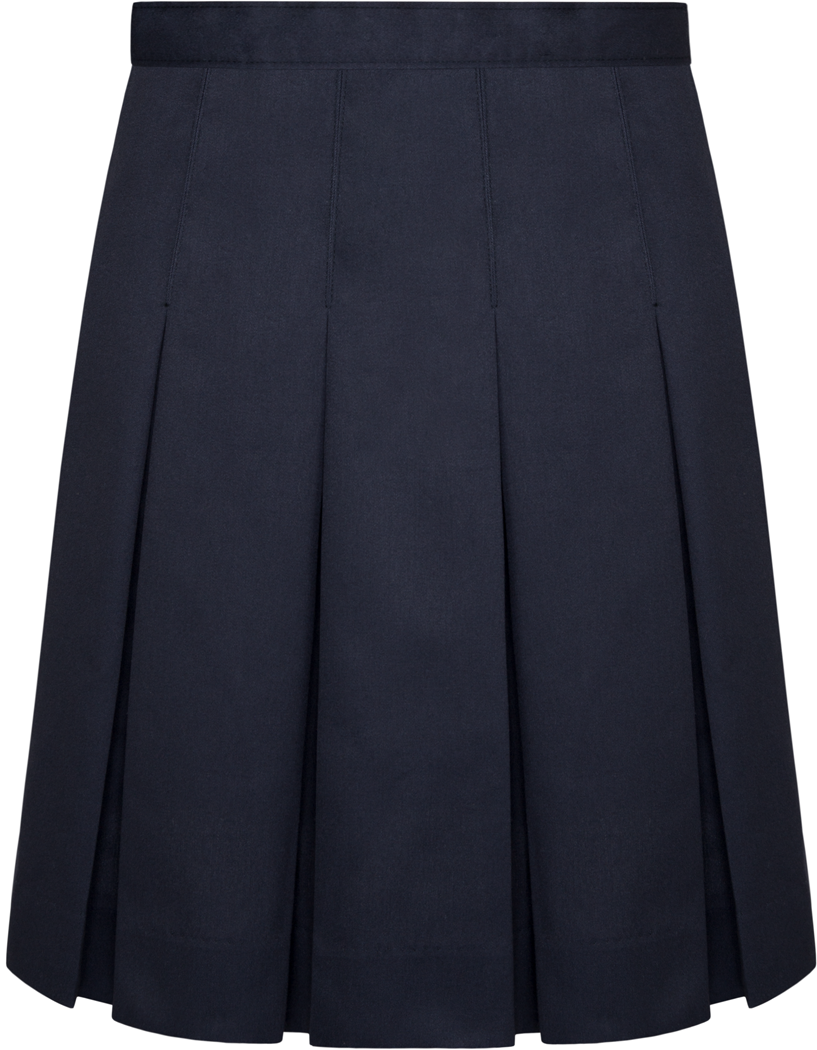 Stitched-Down Pleated Skirt