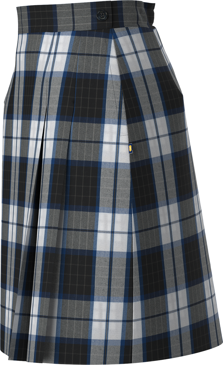 Side Pleat Skort