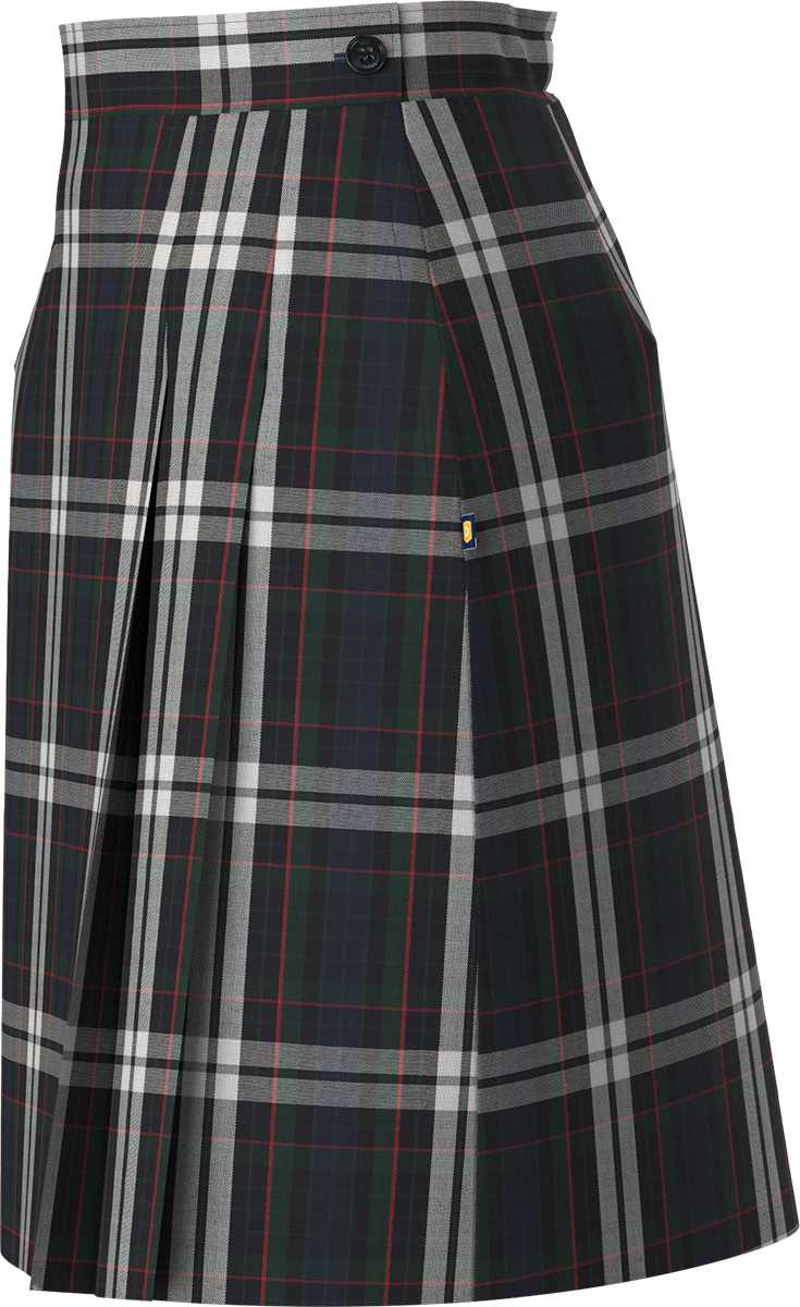 Side Pleat Skort