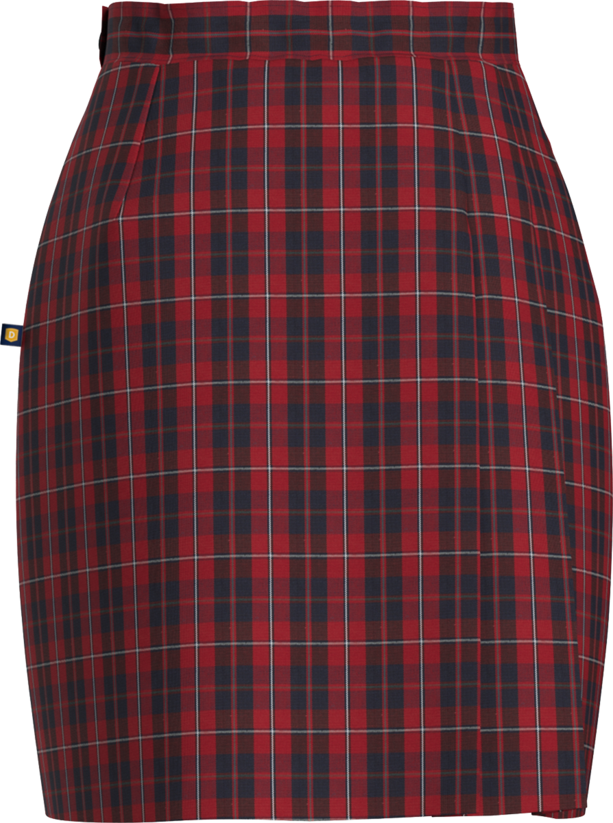 Side Pleat Skort