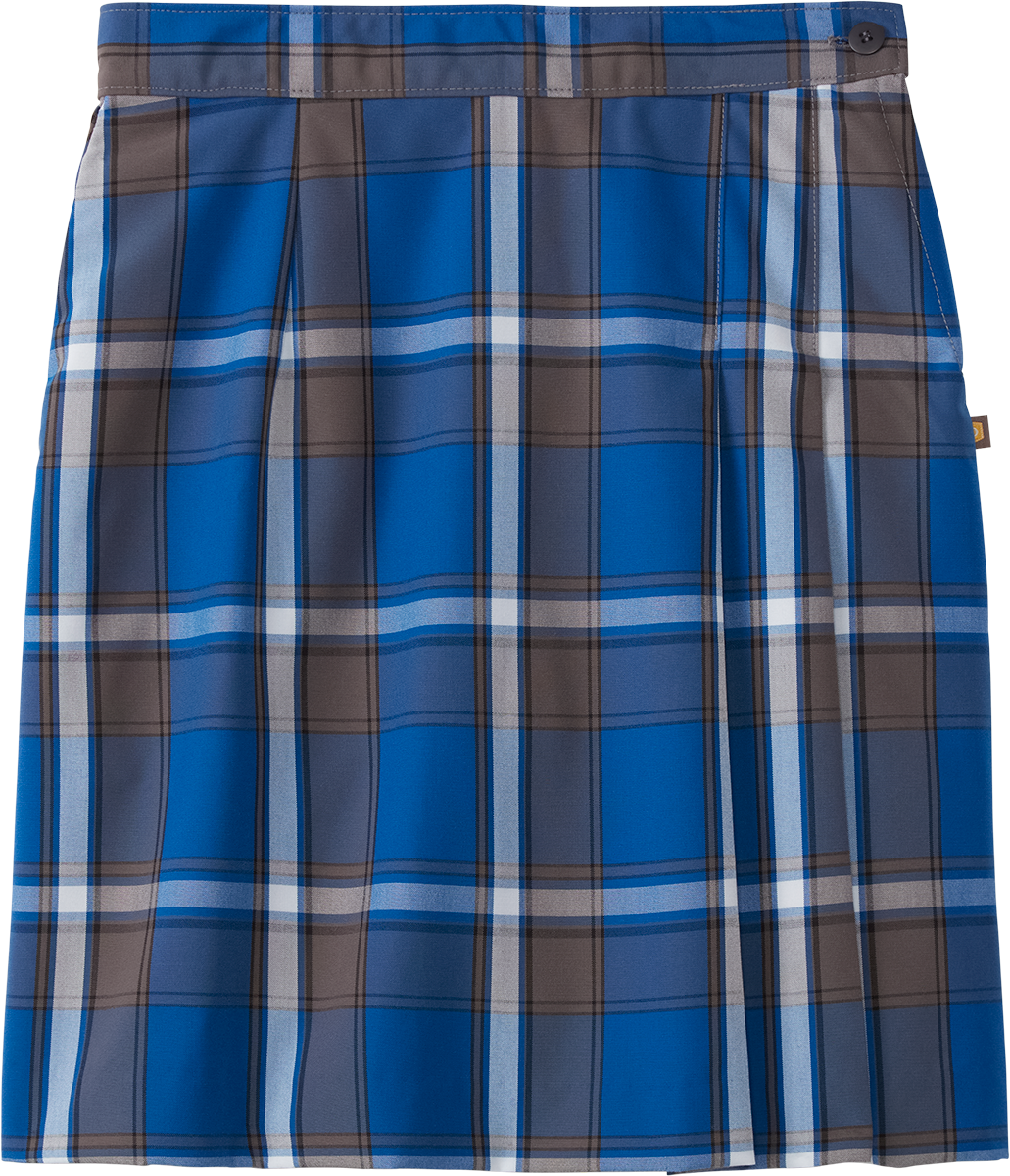 Side Pleat Skort