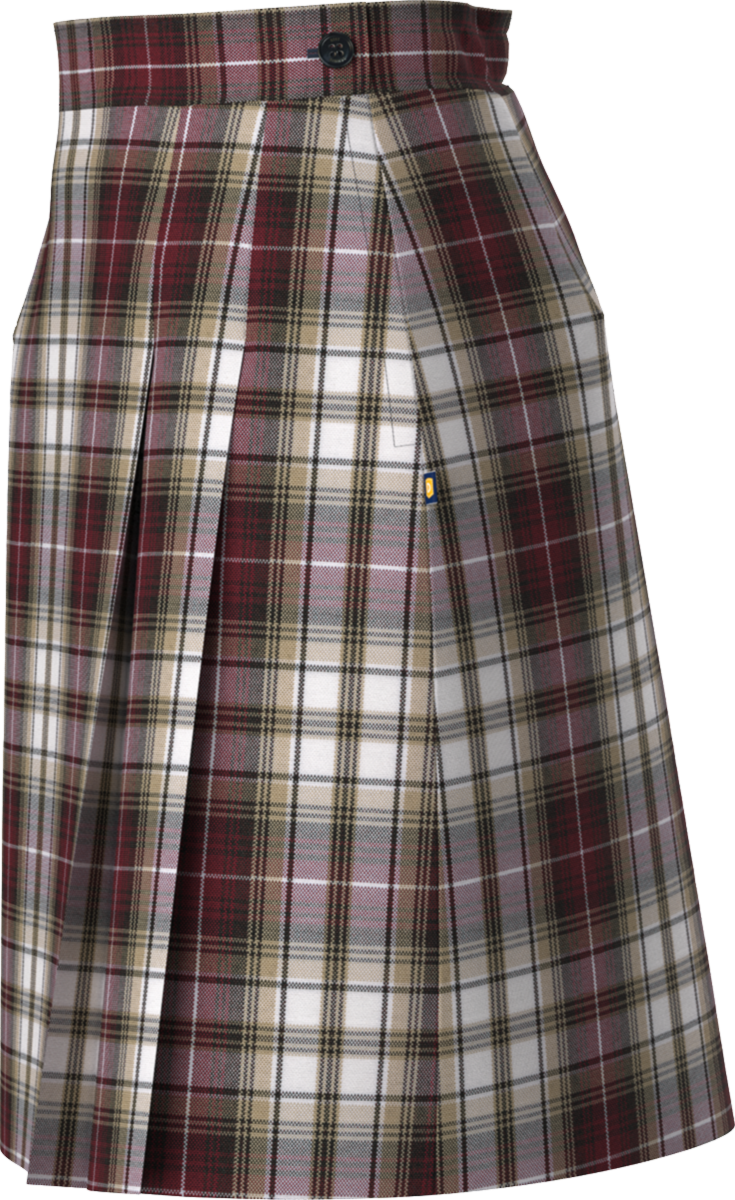 Side Pleat Skort