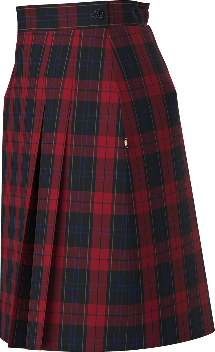 Side Pleat Skort