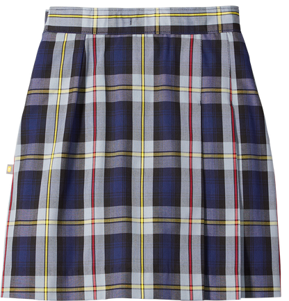 Side Pleat Skort