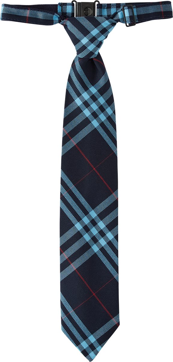 Adjustable Pre-knotted Tie