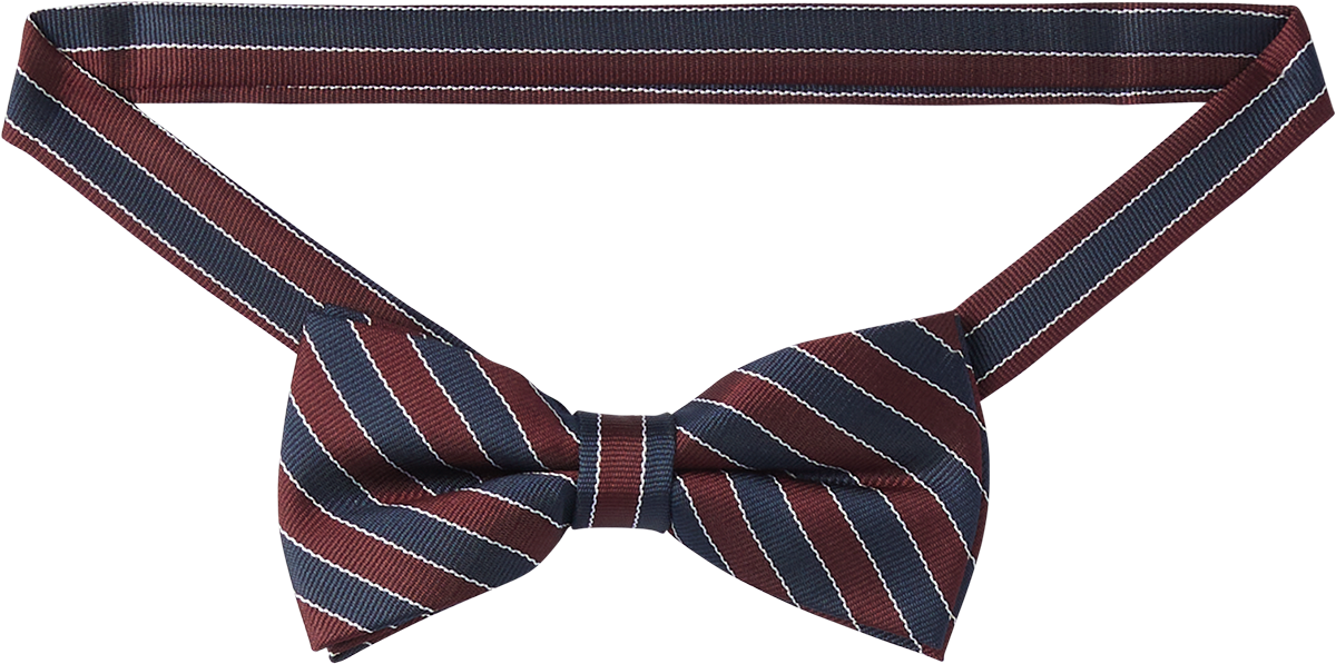 Pre-tied Bow Tie