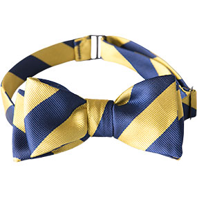 Pre-tied Bow Tie