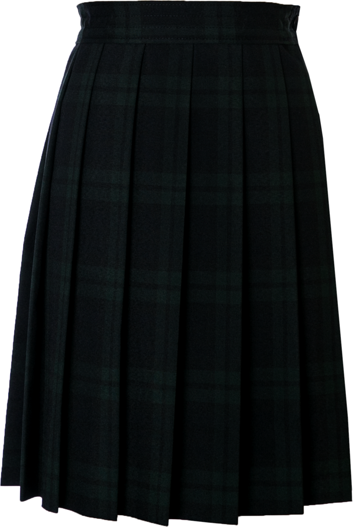 Knife Pleat Skirt