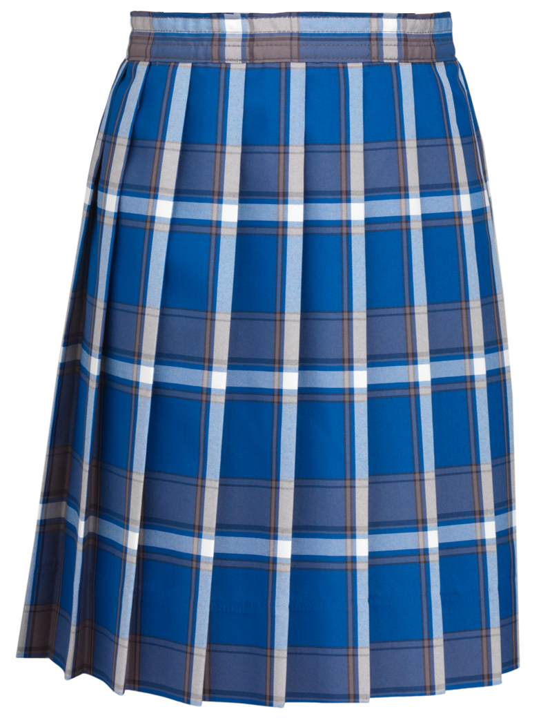 Knife Pleat Skirt