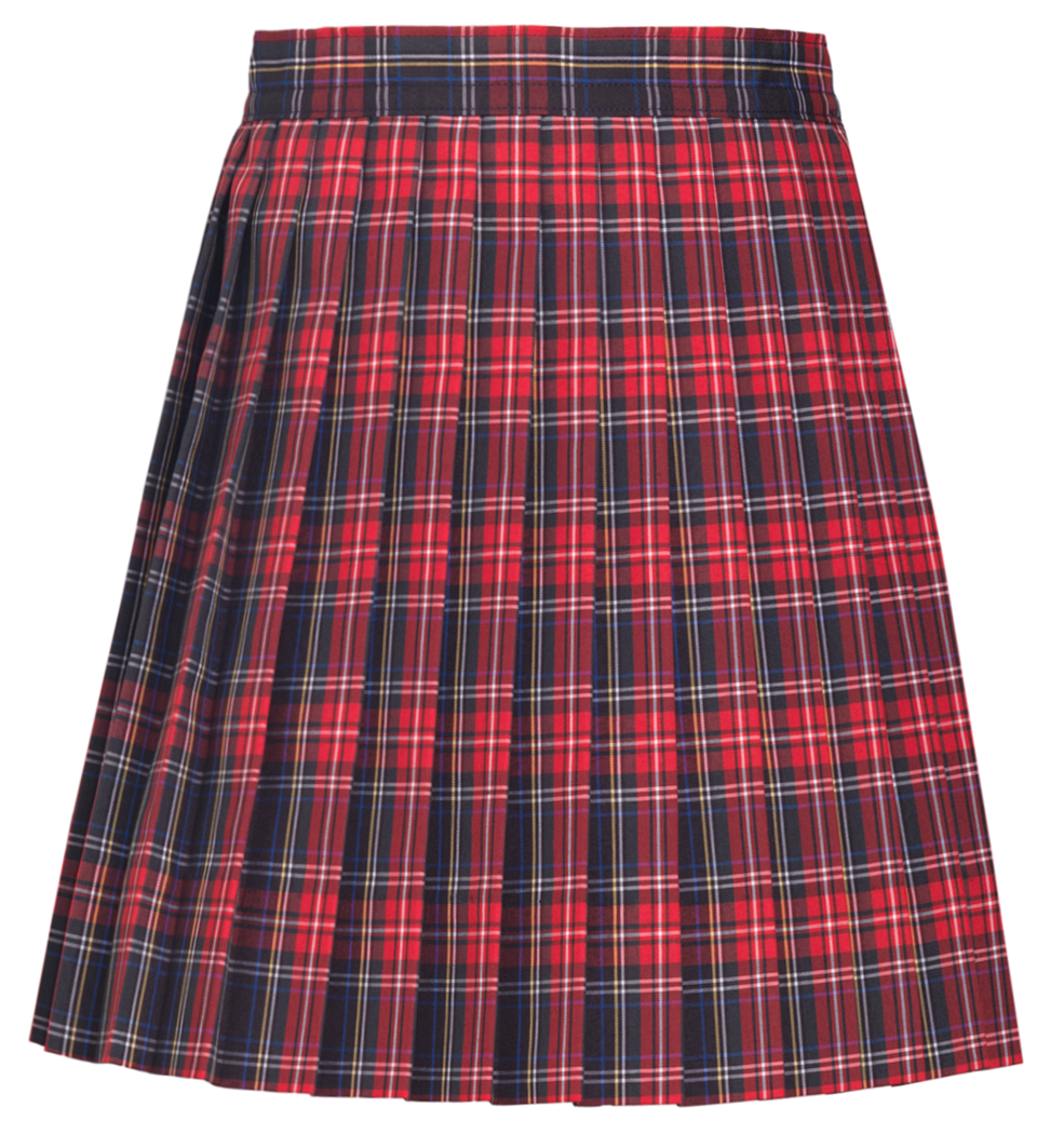 Knife Pleat Skirt