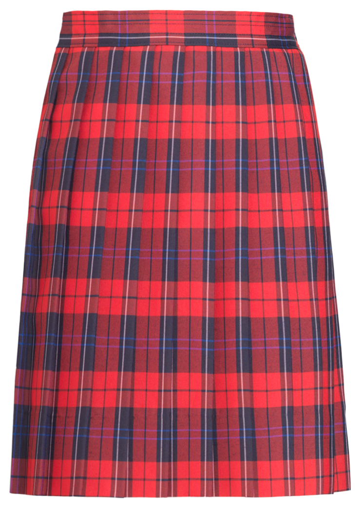 Knife Pleat Skirt