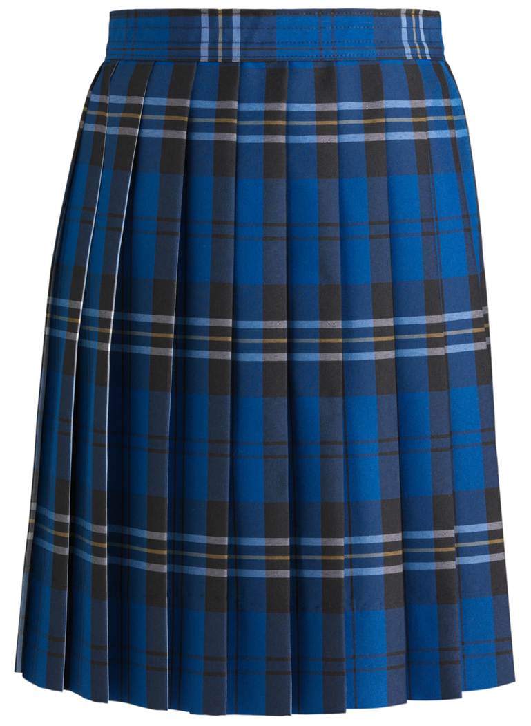 Knife Pleat Skirt