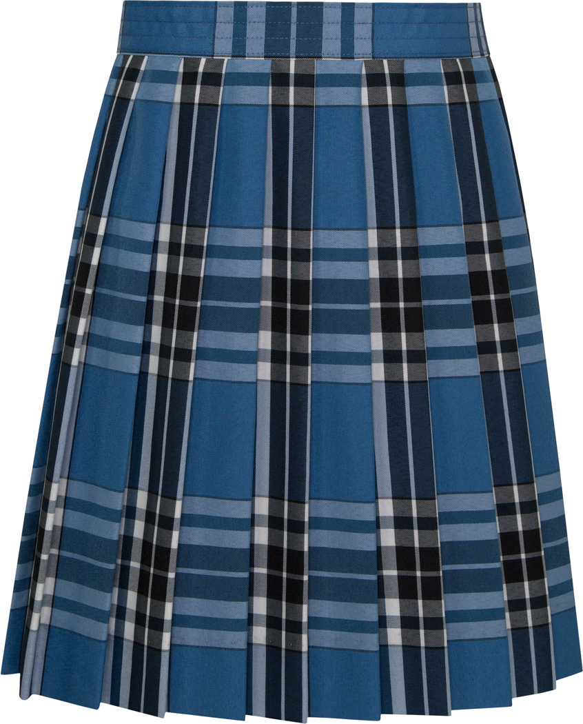 Knife Pleat Skirt