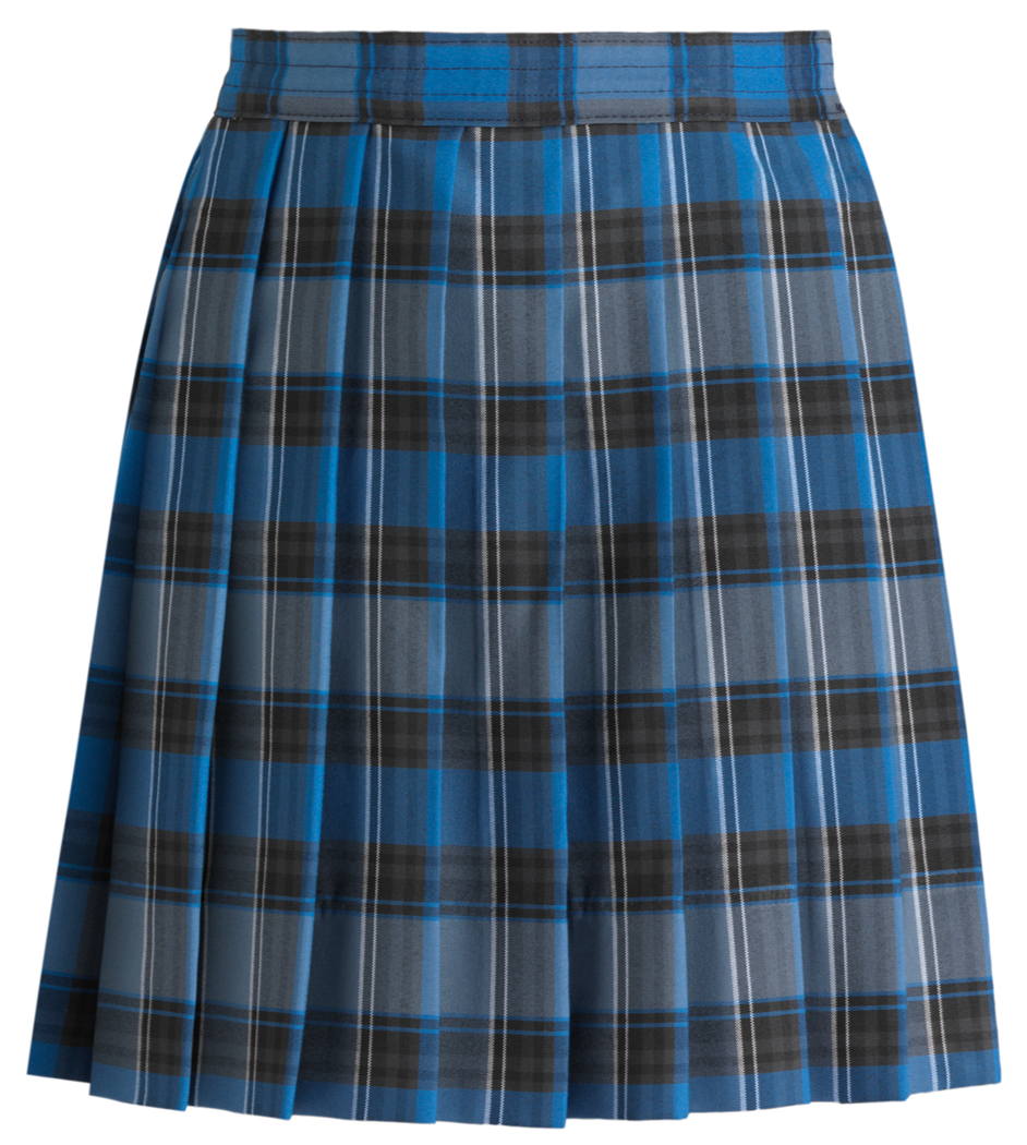 Knife Pleat Skirt