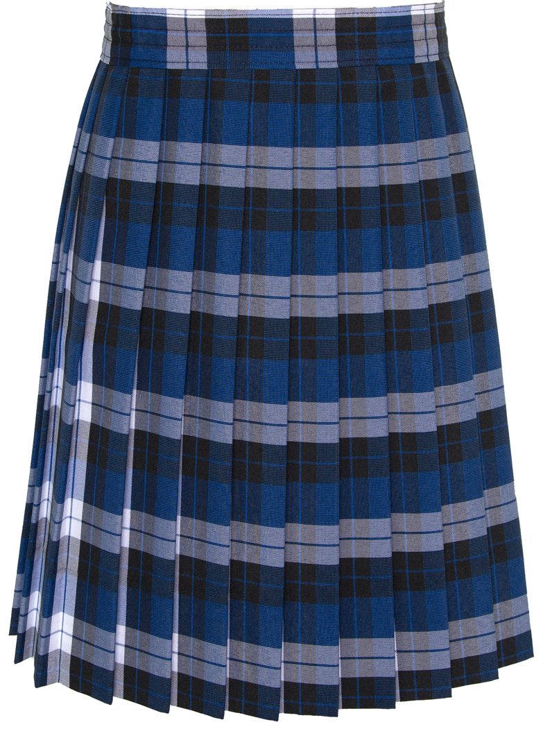 Knife Pleat Skirt