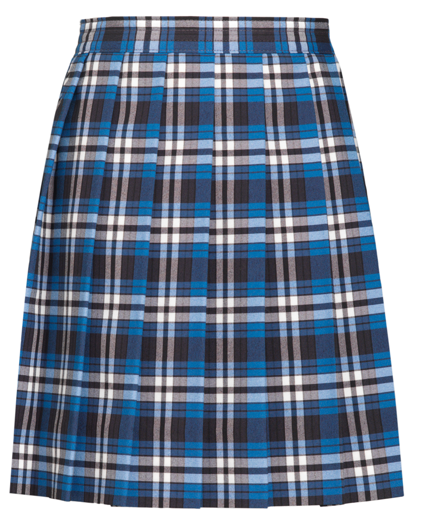 Knife Pleat Skirt