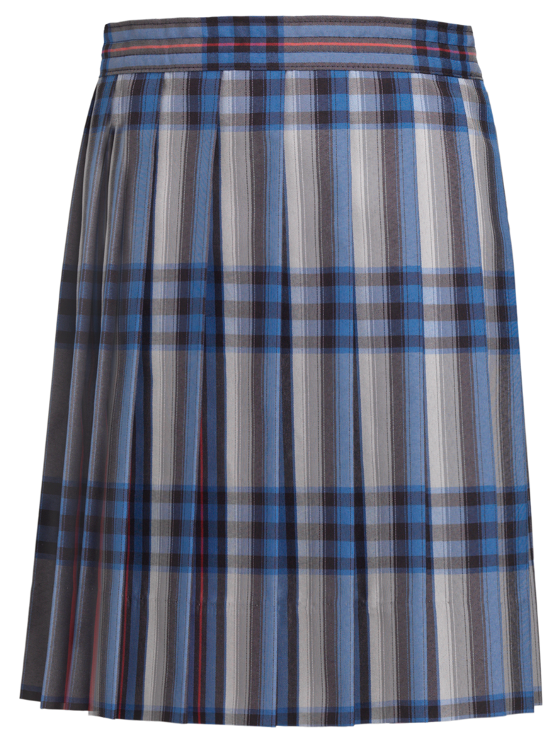 Knife Pleat Skirt