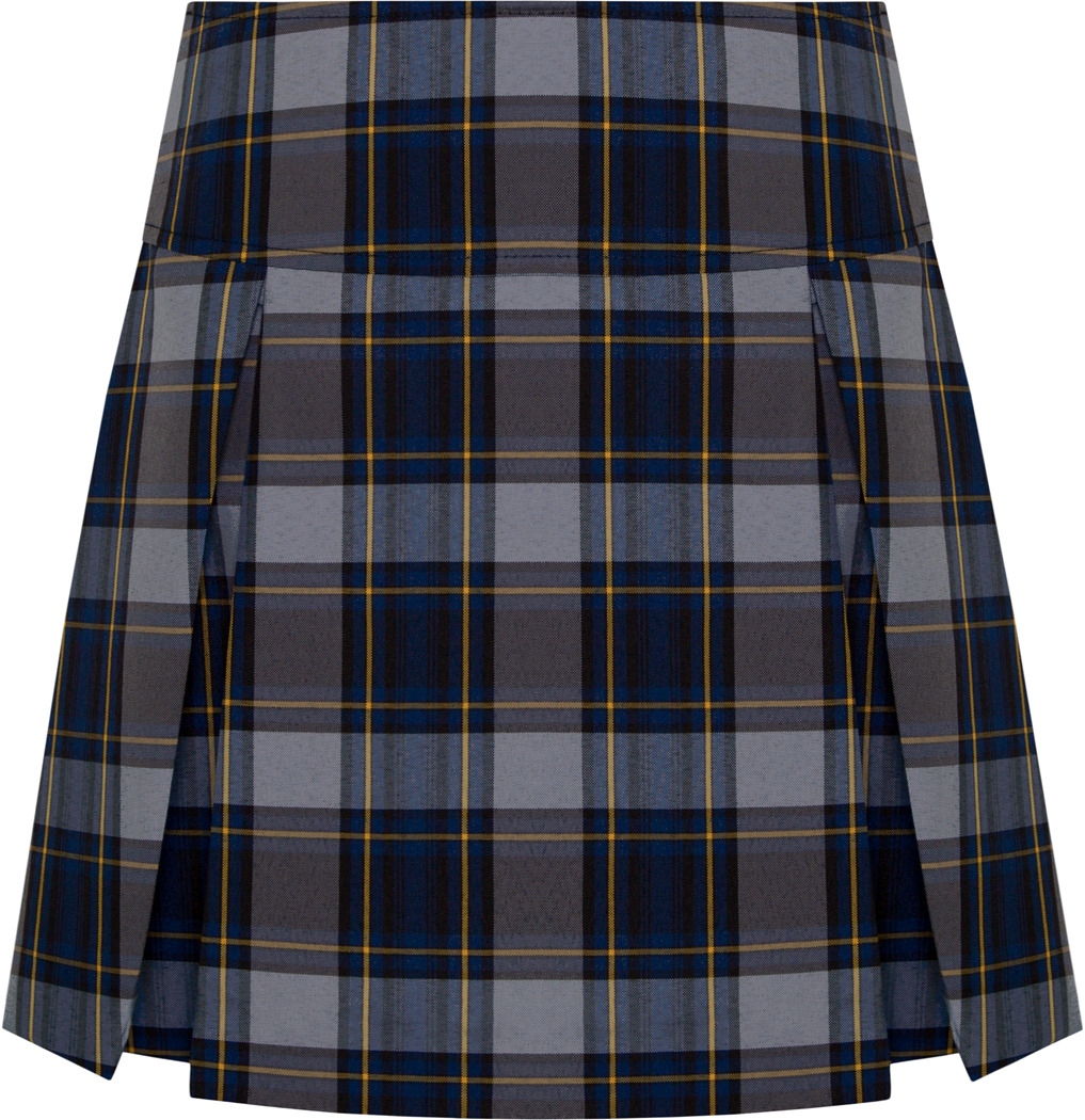 Long Drop Yoke Pleated Skort