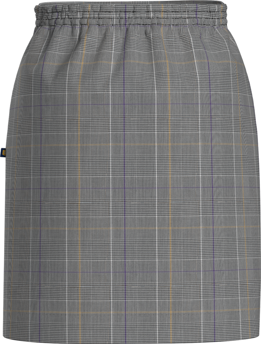 Double Tab Front Pleat Skirt