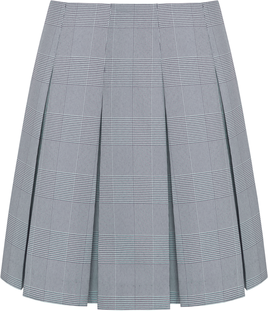 Drop Waist Box Pleat Skirt