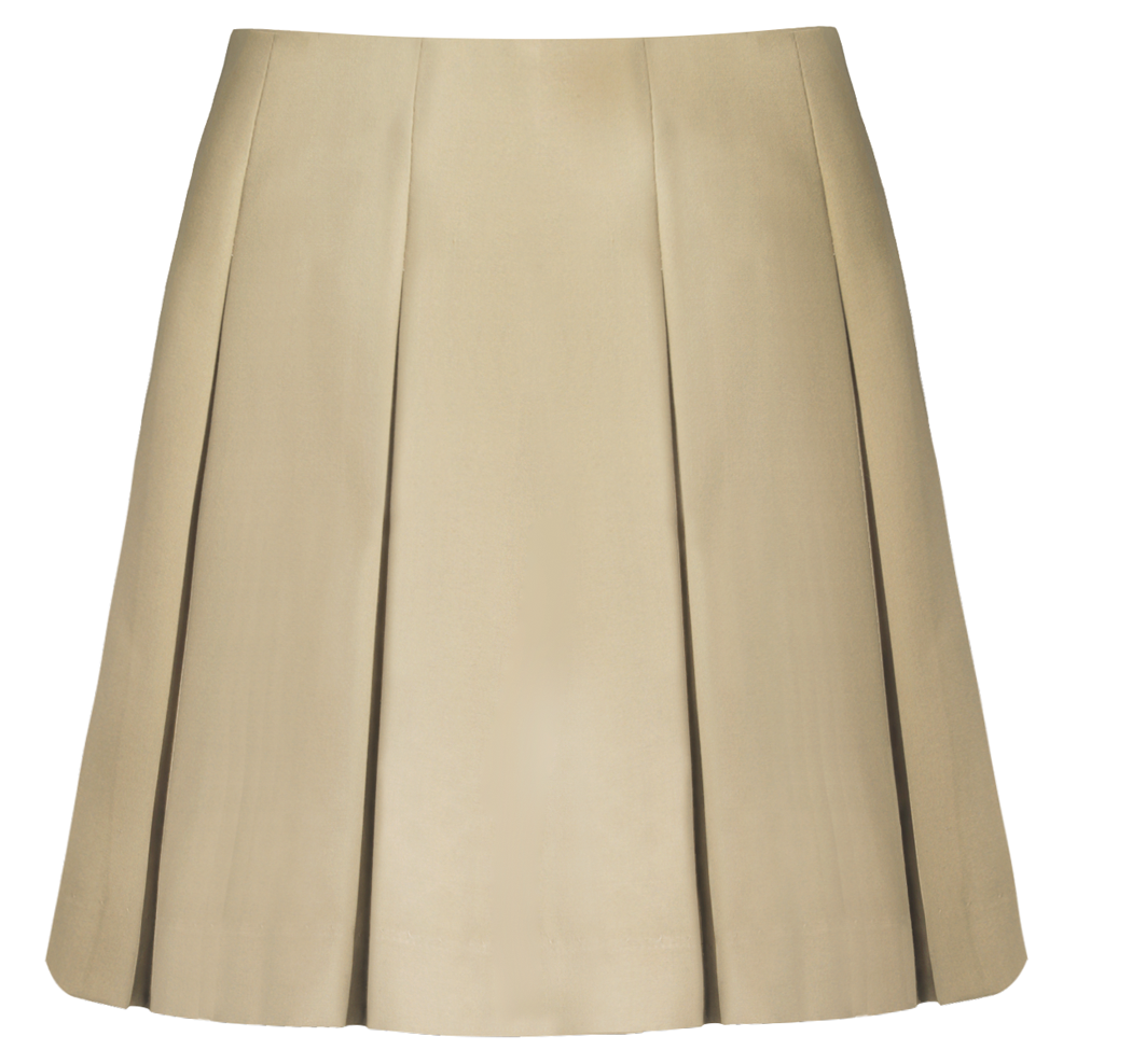 Drop Waist Box Pleat Skirt