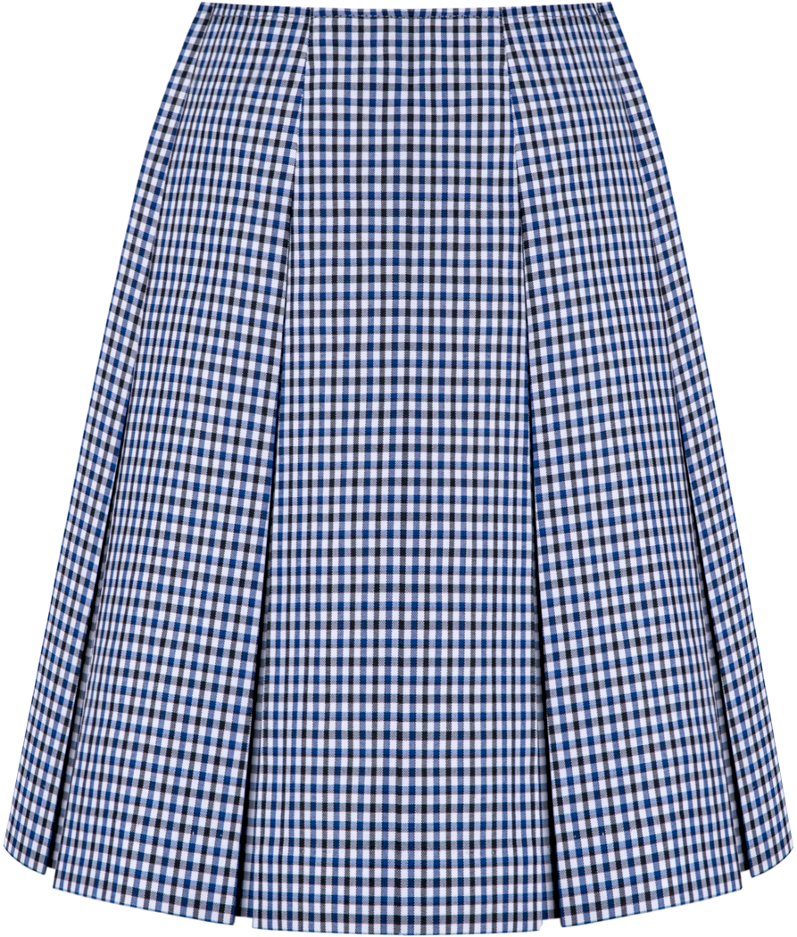 High Waist Box Pleat Skirt