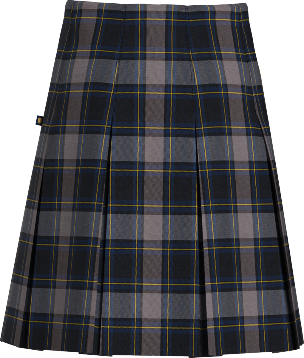 High Waist Box Pleat Skirt