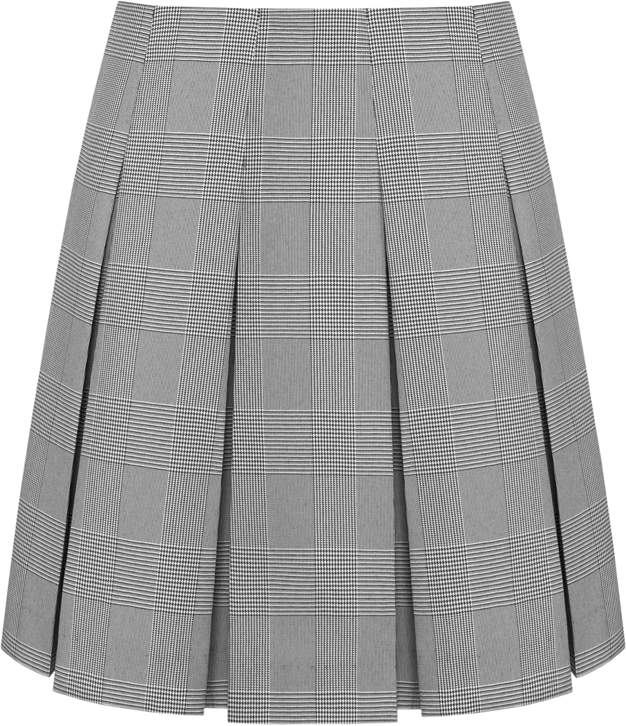 High Waist Box Pleat Skirt