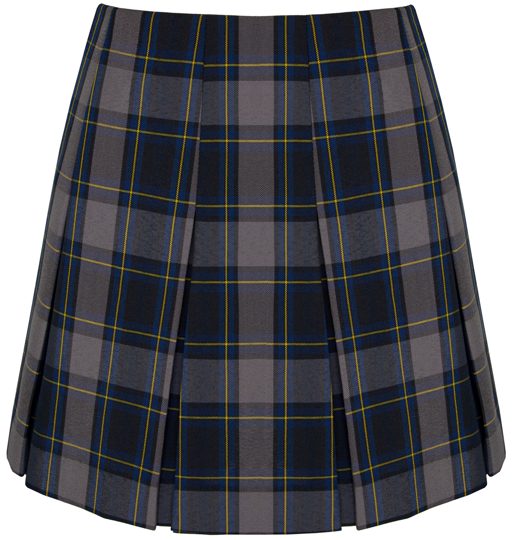 High Waist Box Pleat Skirt