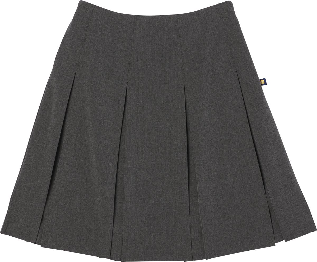 High Waist Box Pleat Skirt