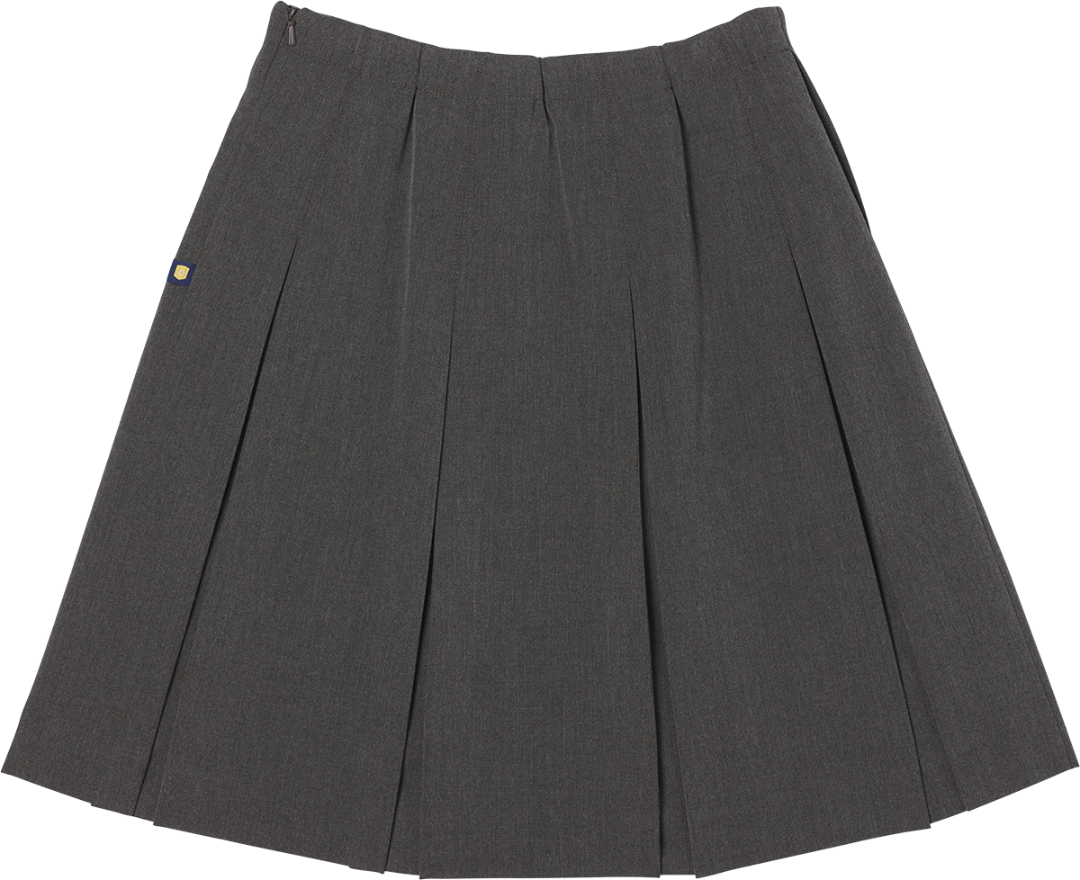 High Waist Box Pleat Skirt