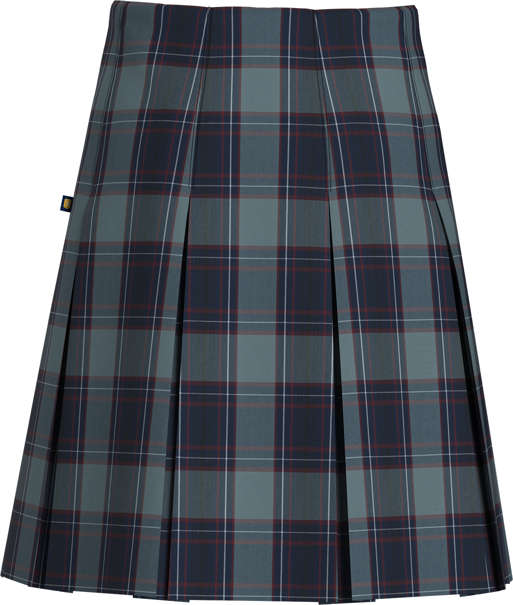 Long High Waist Box Pleat Skirt