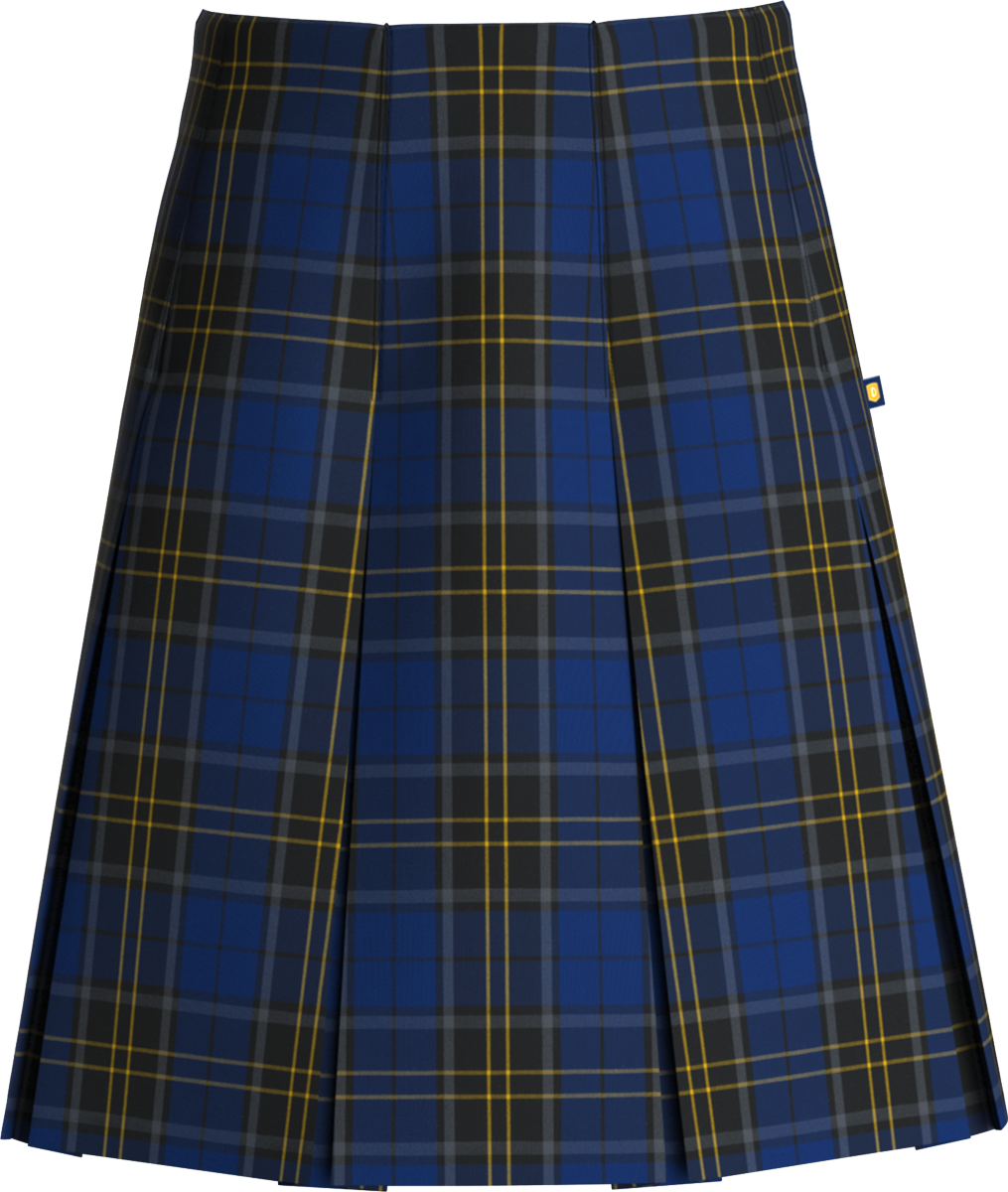 Long High Waist Box Pleat Skirt