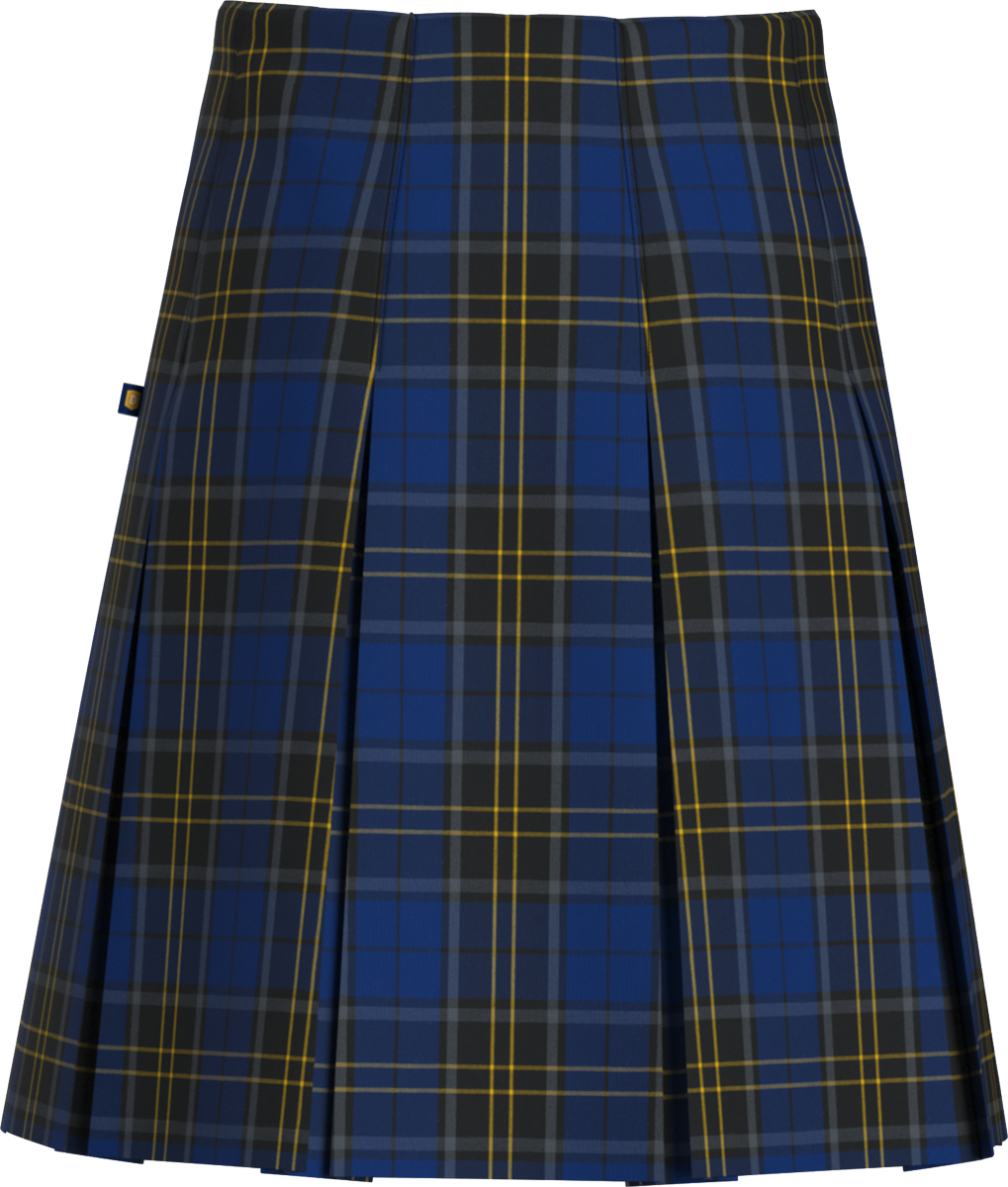 Long High Waist Box Pleat Skirt