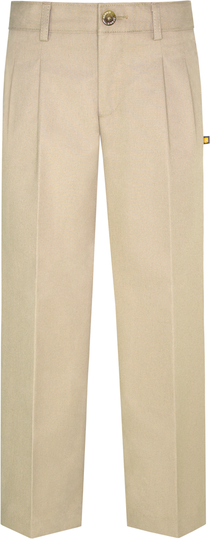 Front Pleat Dress Pants