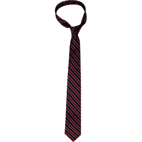 Traditional Necktie