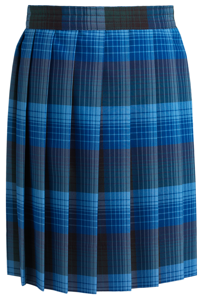 Extra Long Knife Pleat Skirt