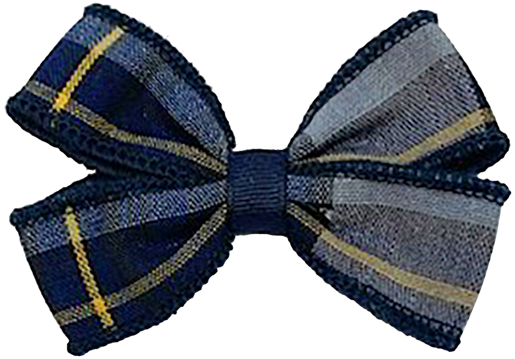 Alligator Clip Hair Bow