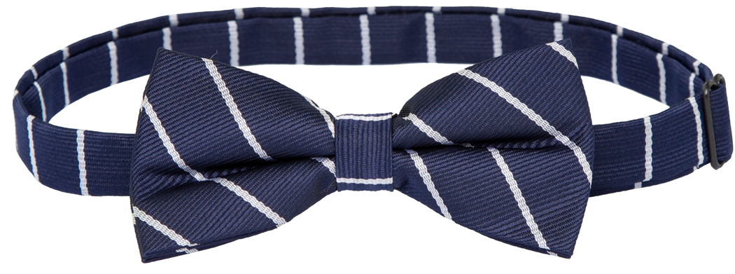 Adjustable Band Bow Tie