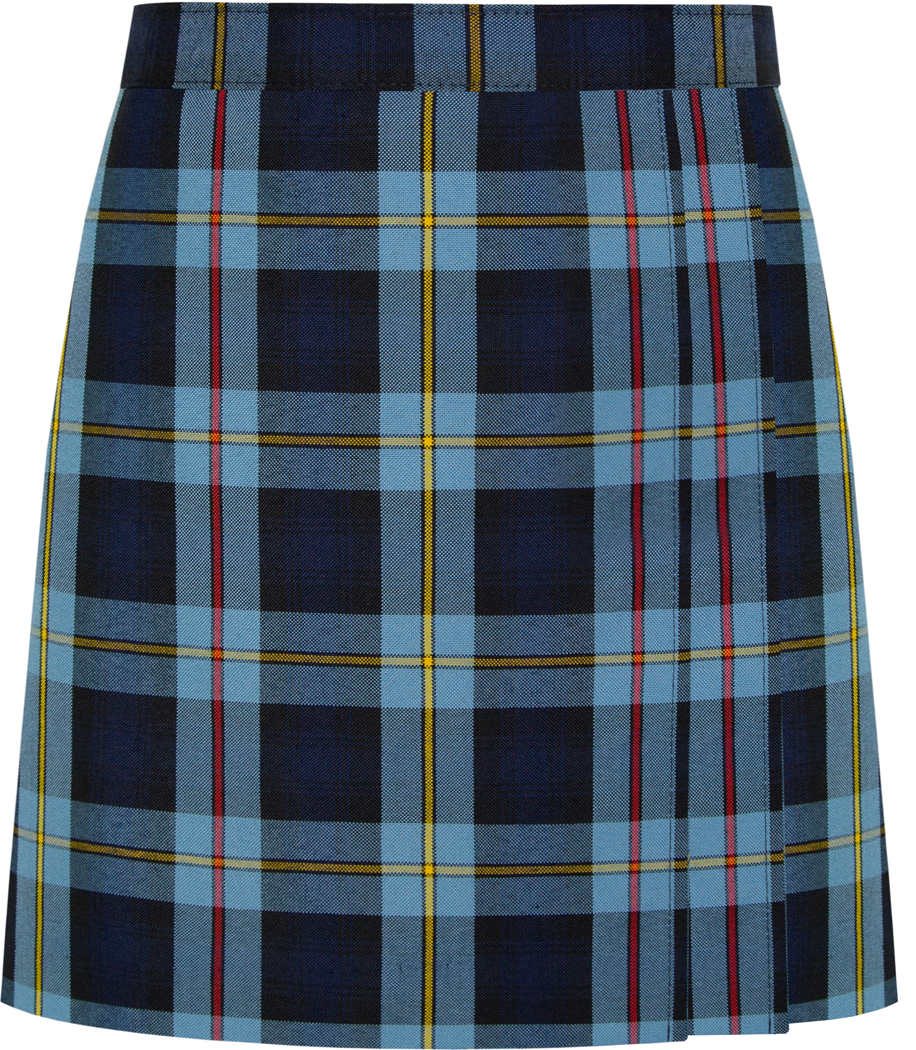 Side Pleat Skort