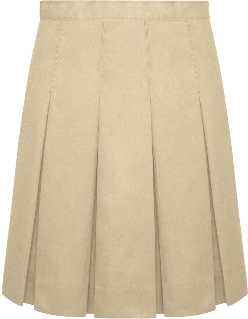 12 Pleat Skirt