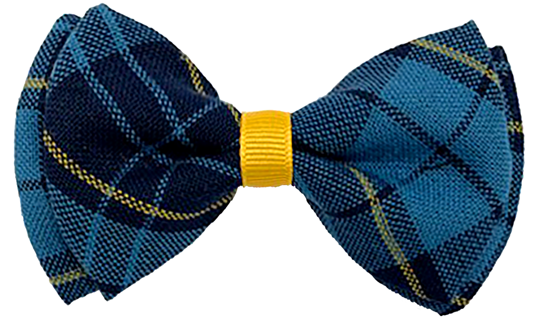 Bowtie Style Hair Bow