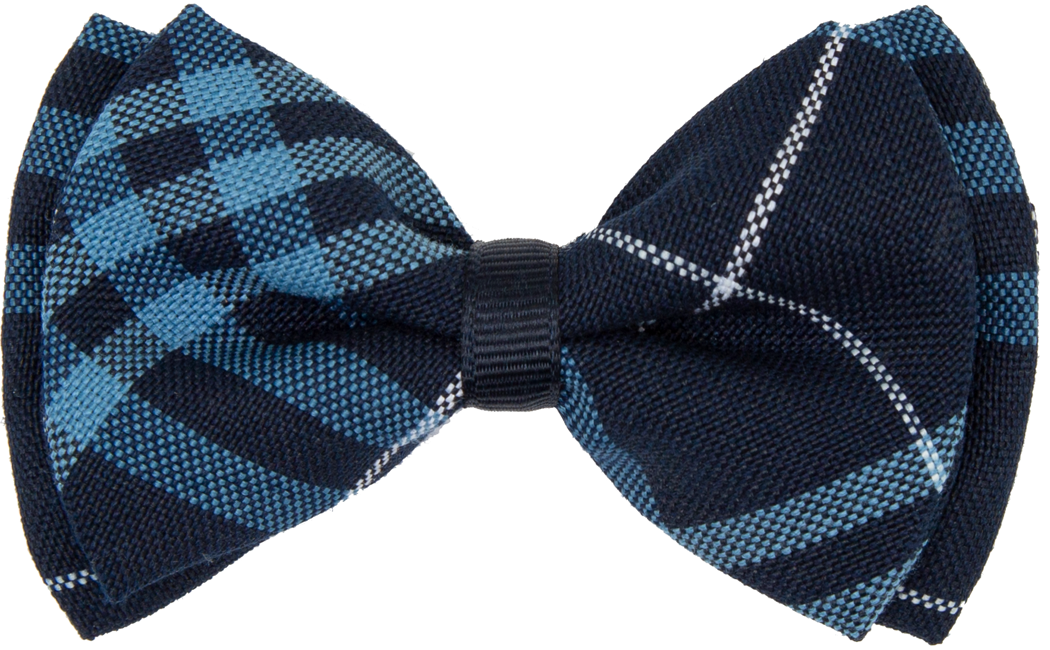 Bowtie Style Hair Bow