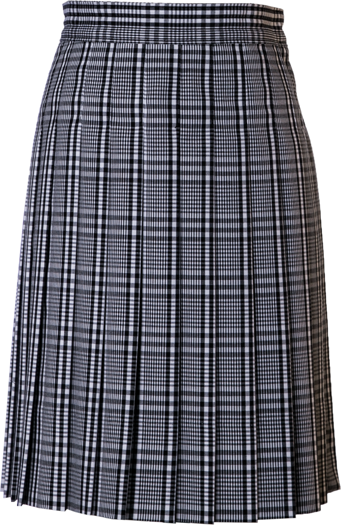 Stitched-Down Knife Pleat Skirt