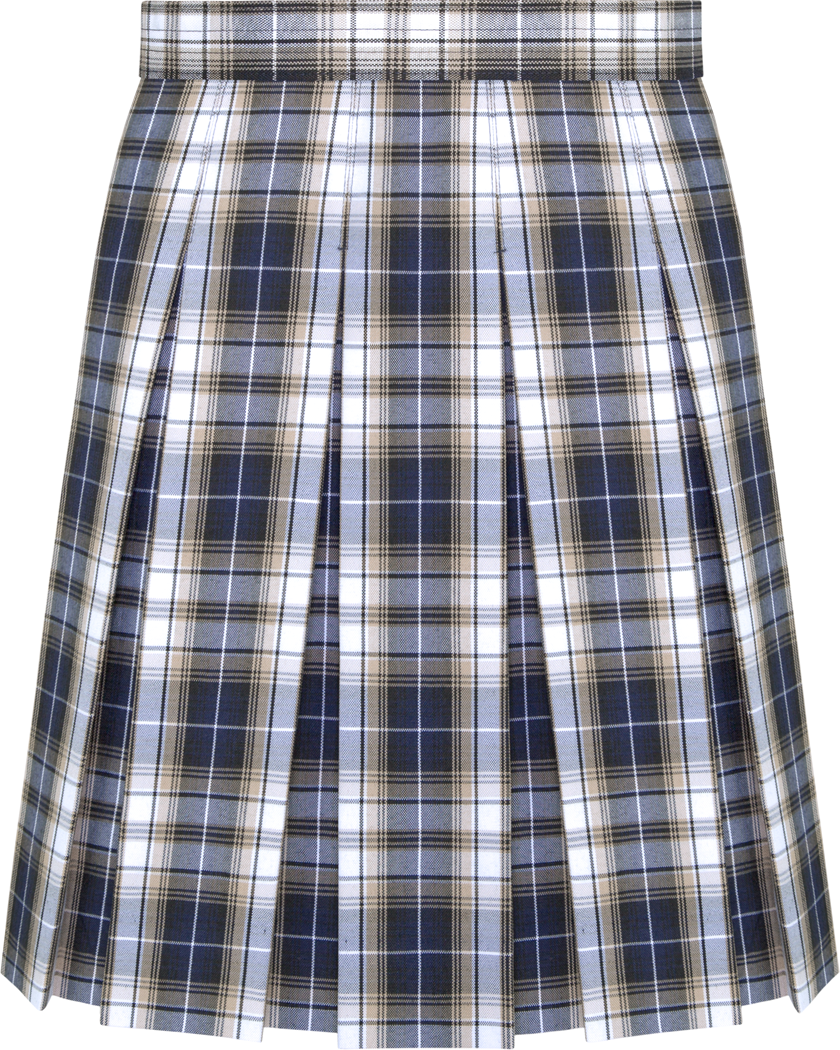 Hipstitched Box Pleat Skirt