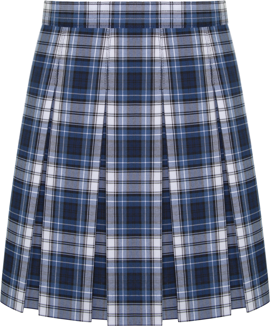 Hipstitched Box Pleat Skirt