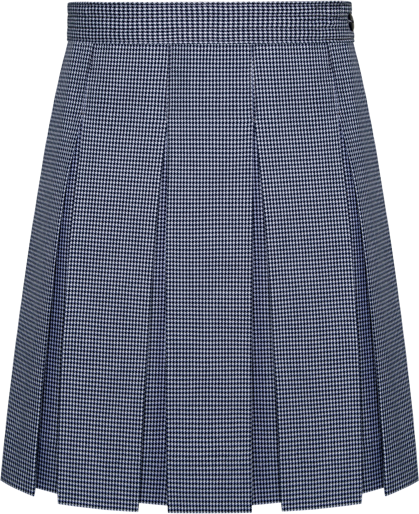 Hipstitched Box Pleat Skirt