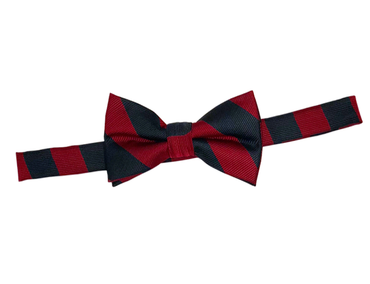 Pre-Tied Bow Tie