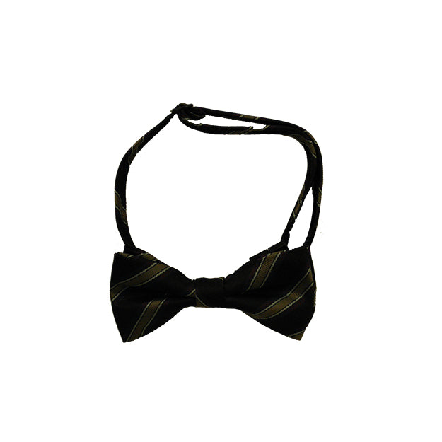 Pre-Tied Bow Tie