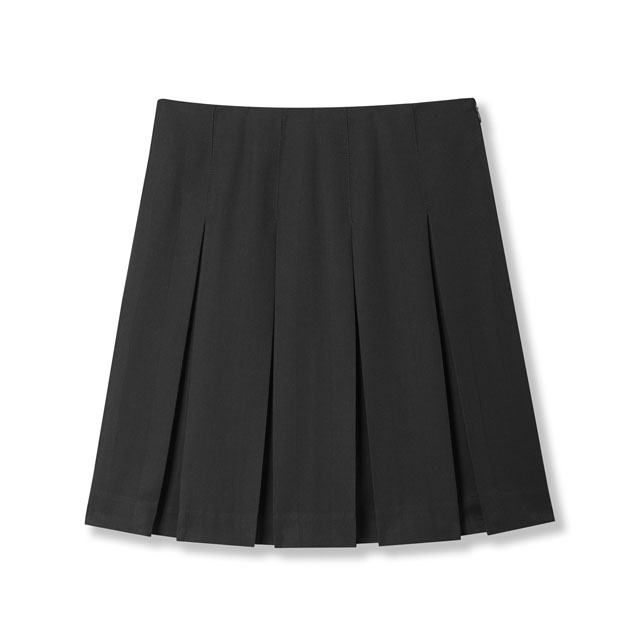 Box Pleat Skirt